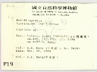 鬼傘屬藏品圖，第2張