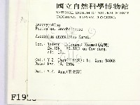 登錄號:F0001923藏品圖，第2張