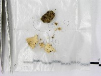 登錄號:F0001923藏品圖，第1張