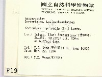 登錄號:F0001924藏品圖，第2張