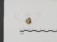 登錄號:F0001925藏品圖，第1張