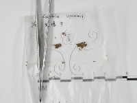 登錄號:F0001926藏品圖，第1張
