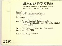 登錄號:F0001927藏品圖，第2張