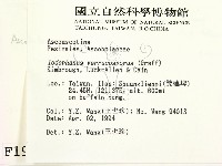 登錄號:F0001928藏品圖，第2張