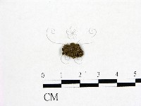 登錄號:F0001928藏品圖，第1張
