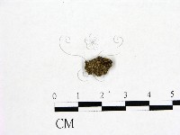 登錄號:F0001928藏品圖，第3張