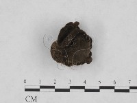 登錄號:F0001934藏品圖，第1張