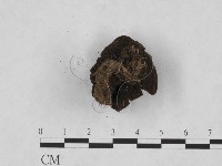 登錄號:F0001934藏品圖，第3張