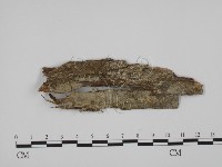 登錄號:F0001935藏品圖，第1張