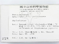 登錄號:F0001936藏品圖，第2張