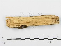 登錄號:F0001936藏品圖，第3張