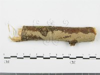 登錄號:F0001937藏品圖，第1張