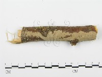登錄號:F0001937藏品圖，第3張