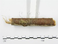 登錄號:F0001937藏品圖，第4張