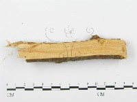 登錄號:F0001937藏品圖，第5張