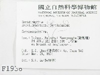 登錄號:F0001938藏品圖，第2張