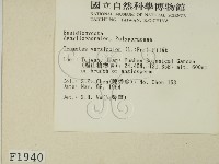 雲芝藏品圖，第2張