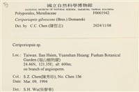 登錄號:F0001942藏品圖，第3張