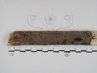 登錄號:F0001943藏品圖，第1張