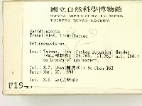 刺皮菌屬藏品圖，第2張