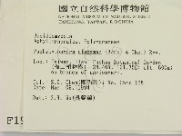 登錄號:F0001952藏品圖，第2張