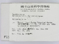 刺革菌屬藏品圖，第2張