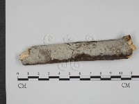 登錄號:F0001954藏品圖，第1張
