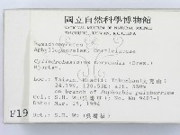 登錄號:F0001956藏品圖，第2張