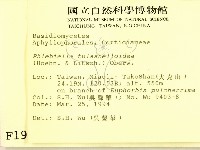 登錄號:F0001958藏品圖，第2張