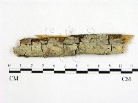 登錄號:F0001958藏品圖，第1張