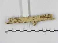登錄號:F0001959藏品圖，第1張