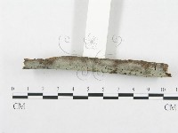 登錄號:F0001960藏品圖，第3張