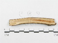 登錄號:F0001960藏品圖，第4張