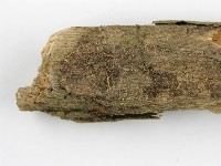 登錄號:F0001961藏品圖，第3張