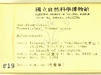 刺皮菌屬藏品圖，第2張