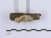 登錄號:F0001965藏品圖，第3張