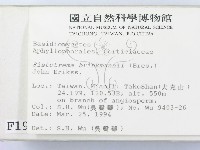 登錄號:F0001967藏品圖，第2張