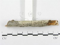 登錄號:F0001967藏品圖，第4張