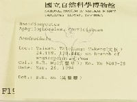 登錄號:F0001968藏品圖，第2張