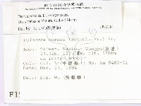 登錄號:F0001970藏品圖，第2張