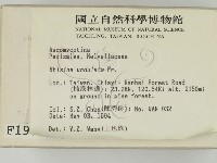 登錄號:F0001972藏品圖，第2張