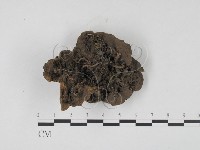 登錄號:F0001972藏品圖，第3張