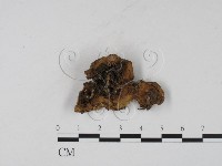 登錄號:F0001973藏品圖，第3張