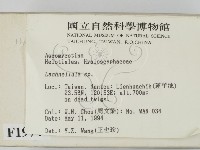 登錄號:F0001974藏品圖，第2張