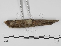 登錄號:F0001974藏品圖，第3張