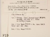 登錄號:F0001975藏品圖，第2張