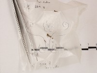 登錄號:F0001975藏品圖，第1張