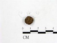 登錄號:F0001976藏品圖，第3張