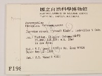 登錄號:F0001980藏品圖，第2張