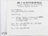 登錄號:F0001981藏品圖，第2張
